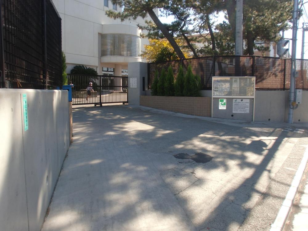 Primary school. Chigasaki City Matsunami to elementary school 537m