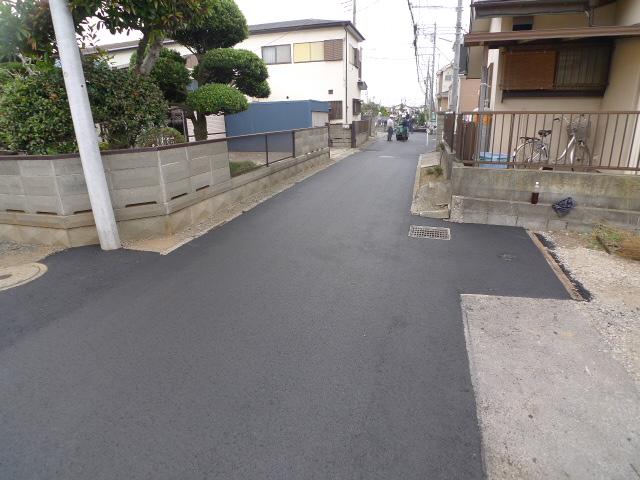 Other. The entire surface of the road