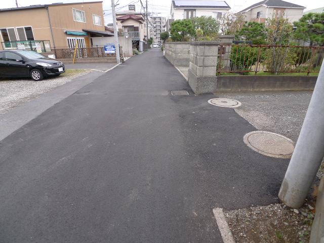 Other. The entire surface of the road