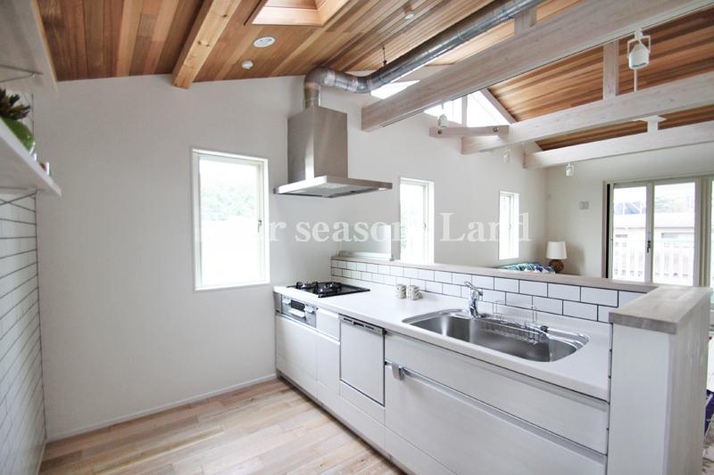 Kitchen. Indoor (10 May 2013) Shooting