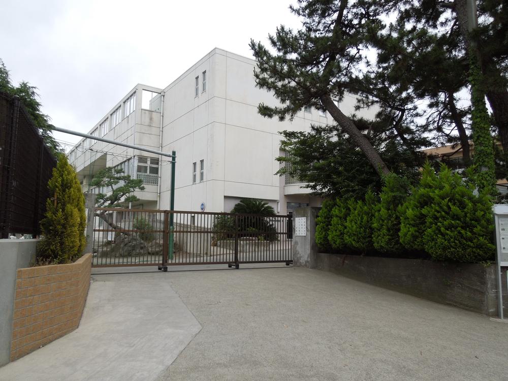 Primary school. Matsunami elementary school