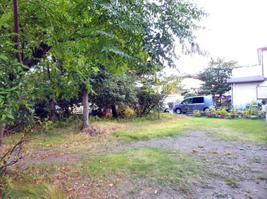 Local land photo. appearance