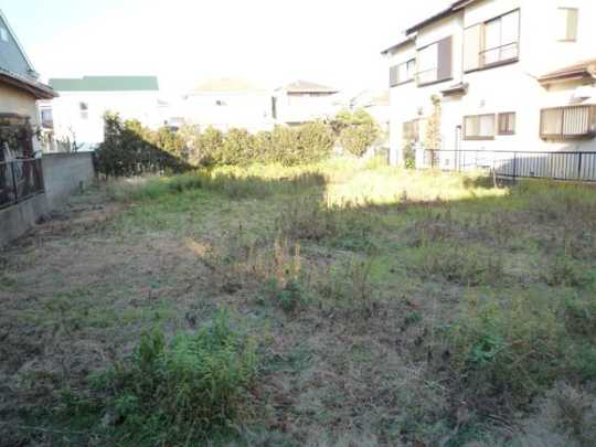 Local land photo. Local Photos (1)