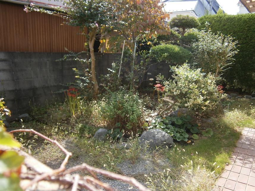 Local land photo. Local (10 May 2013) Shooting