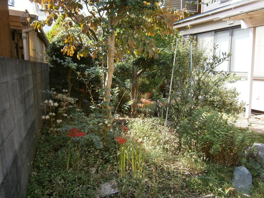 Local land photo. Local (10 May 2013) Shooting