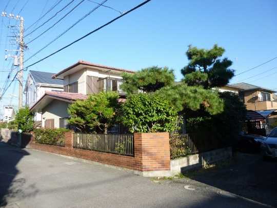 Local land photo. appearance