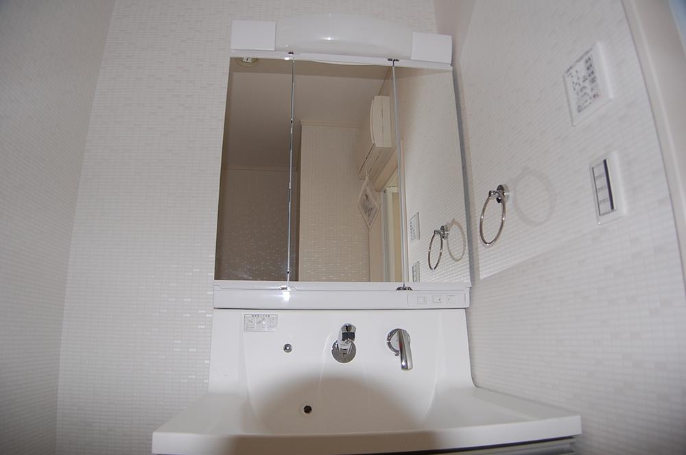 Wash basin, toilet. Indoor (September 2013) Shooting