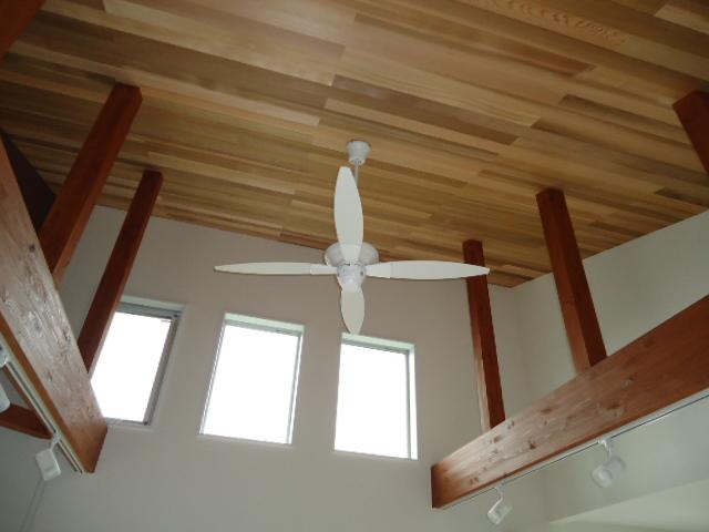 Other local. Local (August 2013) Shooting