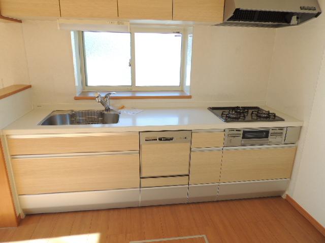 Kitchen. Local (11 May 2013) Shooting