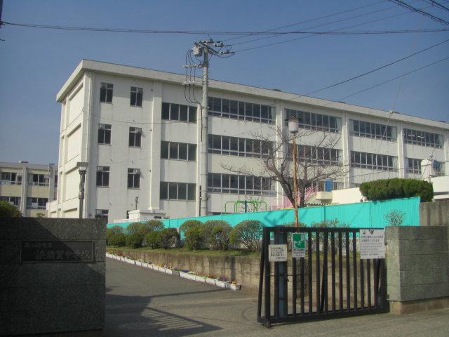 Junior high school. Hamasuka junior high school