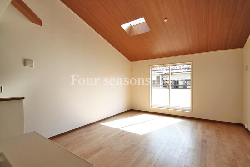 Living. Indoor (10 May 2013) Shooting