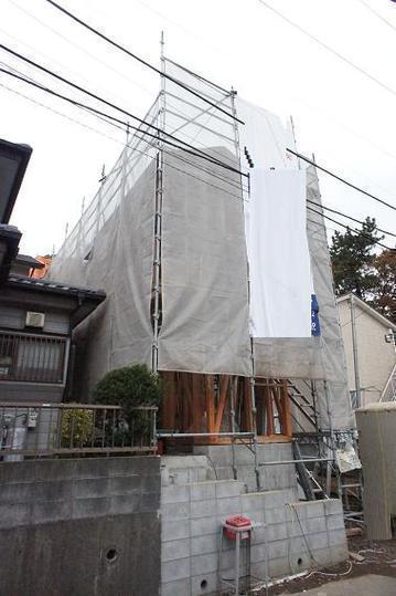 Other. Local appearance