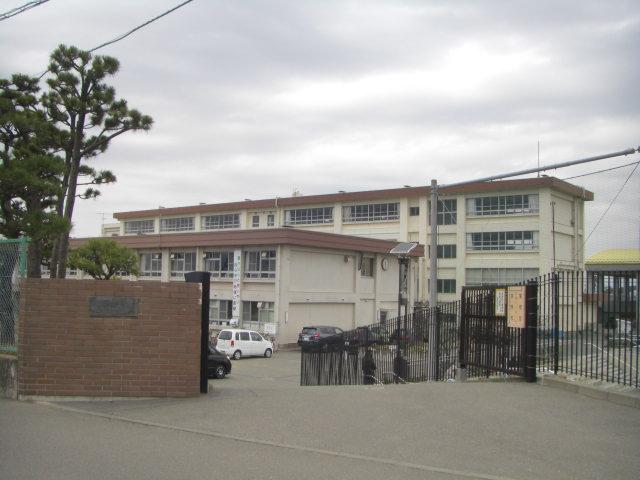 Junior high school. Pine forest junior high school