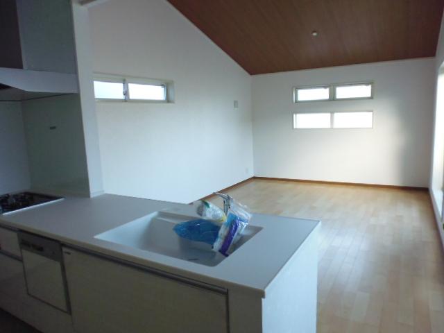 Living. Indoor (09 May 2013) Shooting