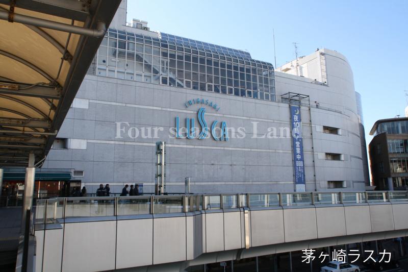 Drug store. Tomod's Chigasaki Alaska 1171m to shop