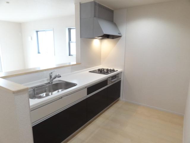 Kitchen. Indoor (11 May 2013) Shooting