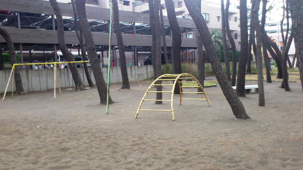 park. Local (March 2013) Shooting