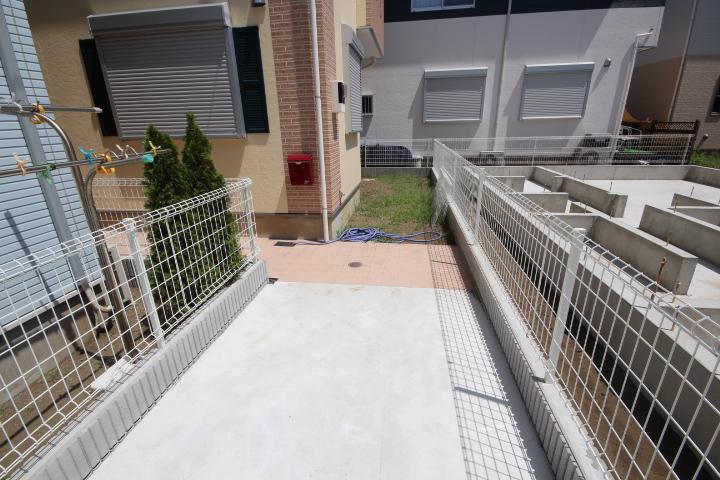 Other local. Local (August 2013) Shooting