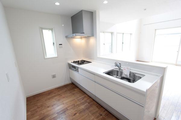 Kitchen. Local (May 2013) Shooting