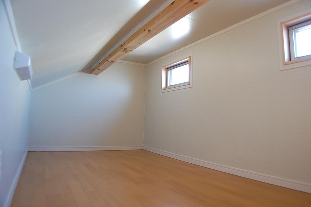 Other introspection. Indoor (10 May 2013) Shooting