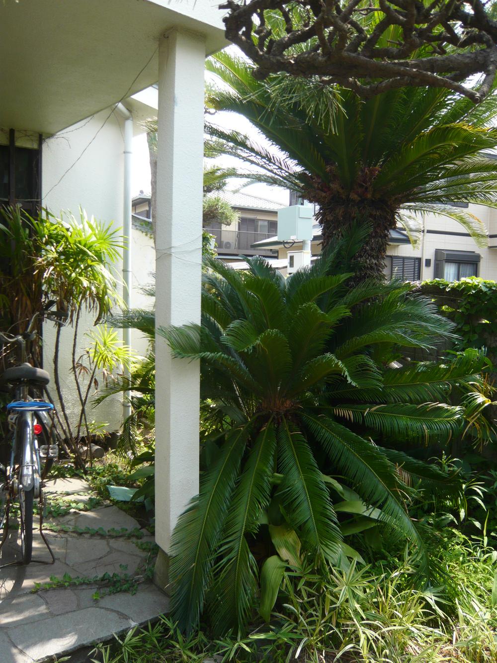Local land photo. There is also a tree likely become a symbol tree.