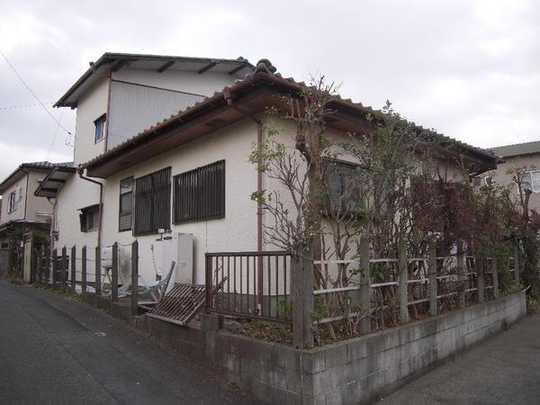 Local land photo. appearance