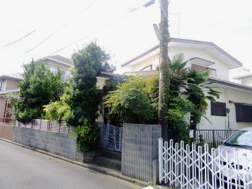 Local land photo. Local (11 May 2013) Shooting