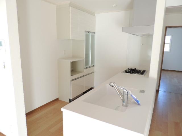 Kitchen. Indoor (11 May 2013) Shooting