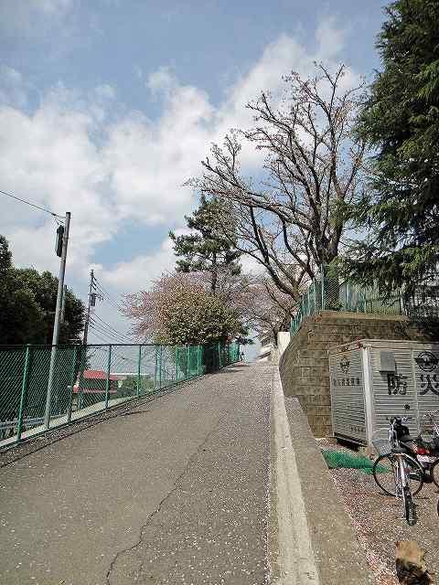 Junior high school. Municipal Ebina until junior high school 2000m