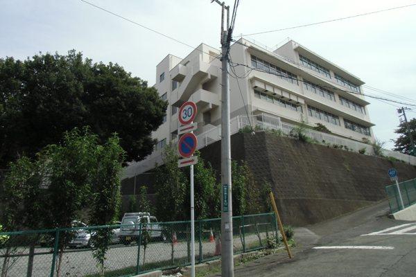 Primary school. Ebina Elementary School