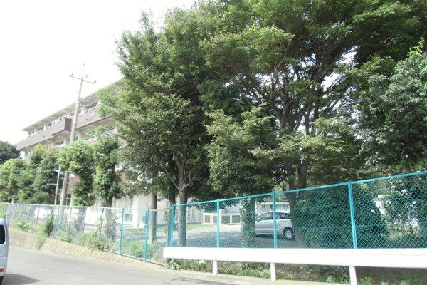 Junior high school. Otani Junior High School
