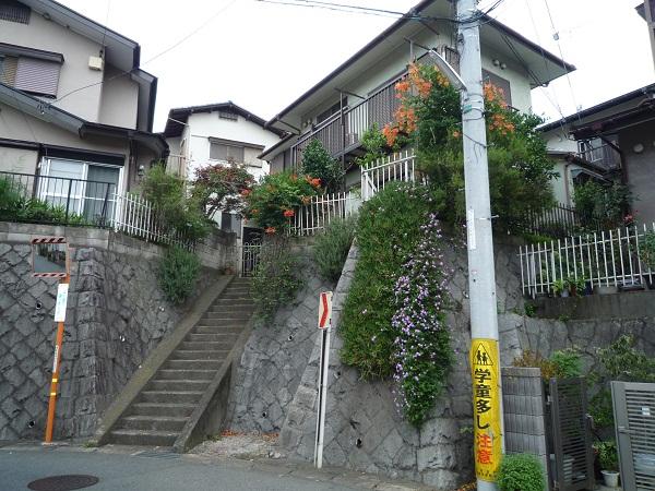 Local photos, including front road. Local (July 2013) Shooting