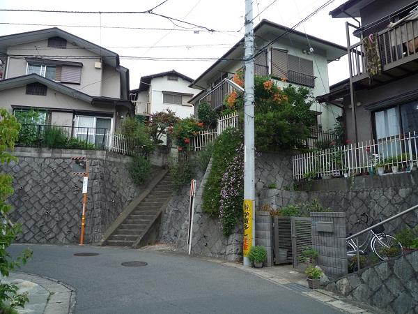 Local photos, including front road. Local (July 2013) Shooting