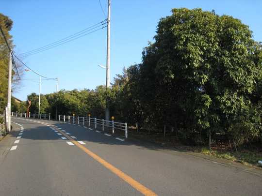 Local land photo. Contact surface road