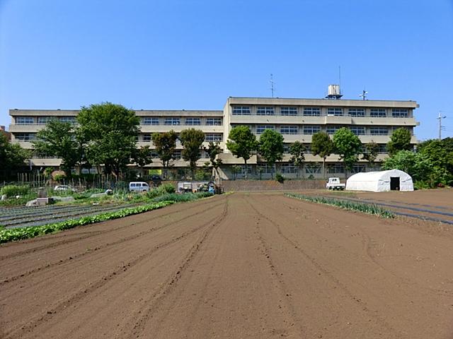Junior high school. Ebina 986m to stand Otani Junior High School