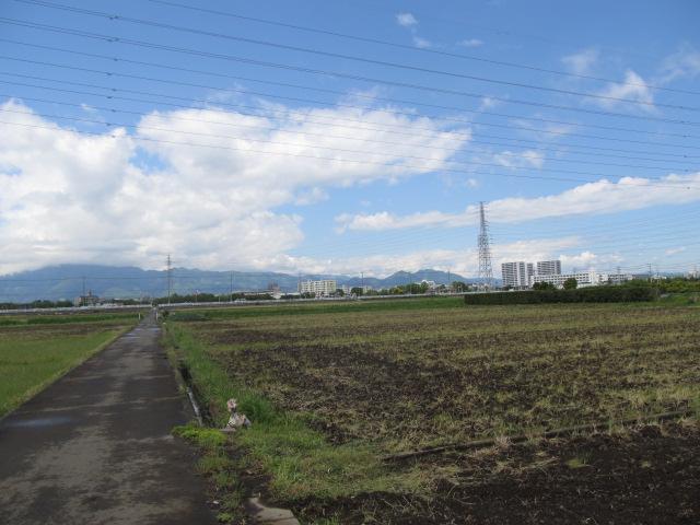 Other local. Local (04 May 2013) Shooting