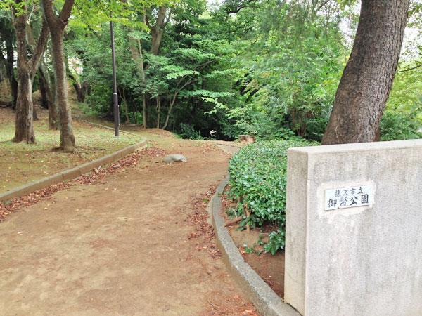 park. 120m until gohei park