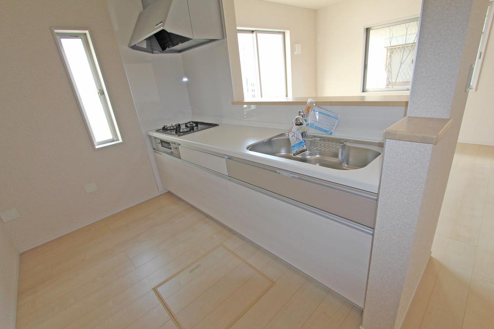 Kitchen. Indoor (12 May 2013) Shooting