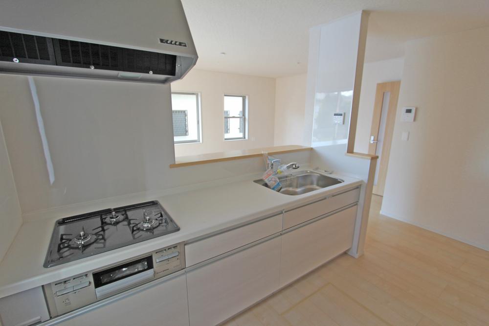 Kitchen. Indoor (12 May 2013) Shooting