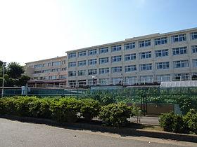 high school ・ College. 1960m to the Kanagawa Prefectural Fujisawa Comprehensive High School