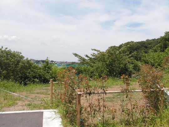 Local land photo. Local Photos 2013 July shooting