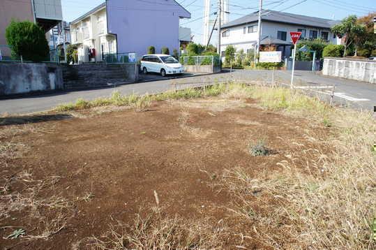 Local land photo. Local Photos