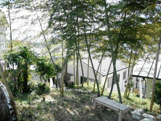 View photos from the local. Local (12 May 2013) Shooting