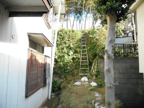 Local land photo. Local (12 May 2013) Shooting