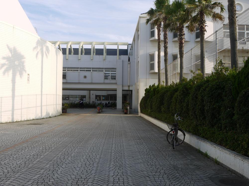 Junior high school. 756m until the Fujisawa Municipal 湘洋 junior high school