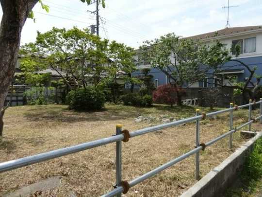 Local land photo. local