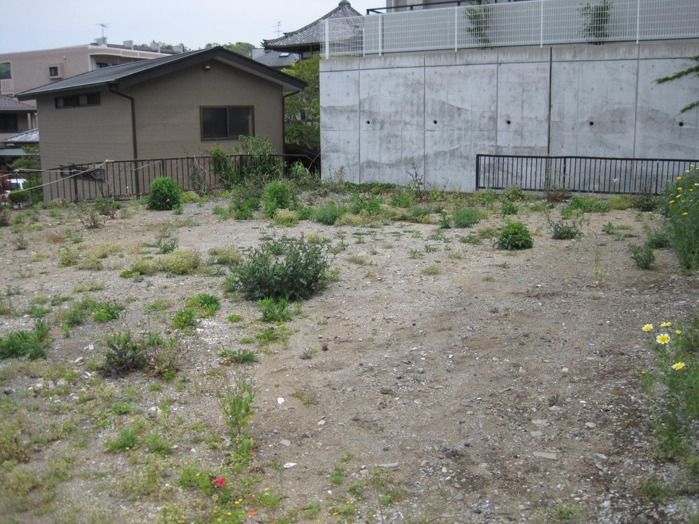 Local land photo. Local (April 2013) Shooting