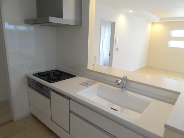 Kitchen. Indoor (09 May 2013) Shooting