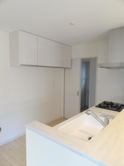 Kitchen. Indoor (09 May 2013) Shooting