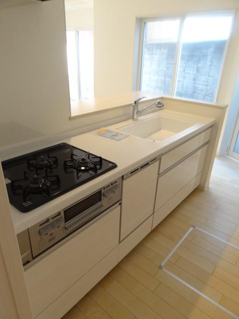 Kitchen. Indoor (09 May 2013) Shooting